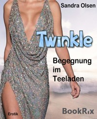 Twinkle - Sandra Olsen - E-Book