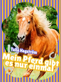 Mein Pferd gibt es nur einmal - Torbjörg Hagström - E-Book