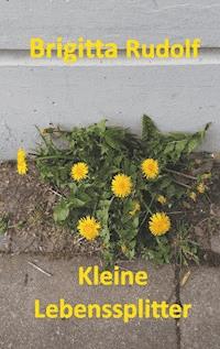 Kleine Lebenssplitter - Brigitta Rudolf - E-Book