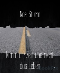 Nimm dir Zeit und nicht das Leben - Noel Sturm - E-Book