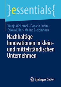 Nachhaltige Innovationen in klein- und mittelständischen Unternehmen - Wanja Wellbrock - E-Book