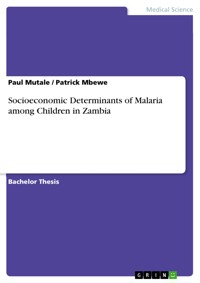 Socioeconomic Determinants of Malaria among Children in Zambia - Paul Mutale - E-Book