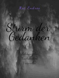 Sturm der Gedanken - Kat Endres - E-Book