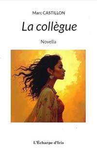 La collègue - Marc Castillon - E-Book