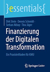 Finanzierung der Digitalen Transformation - Dirk Stein - E-Book