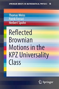 Reflected Brownian Motions in the KPZ Universality Class - Thomas Weiss - E-Book