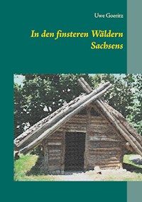 In den finsteren Wäldern Sachsens - Uwe Goeritz - E-Book