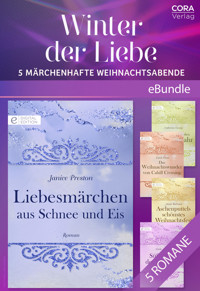 Winter der Liebe - 5 märchenhafte Weihnachtsabende - Janice Preston - E-Book
