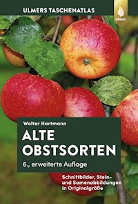 Alte Obstsorten - Walter Hartmann - E-Book