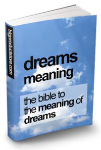 Traumbedeutung. Die Bibel zur Bedeutung von Träumen. - Otmar Trierweiler - E-Book
