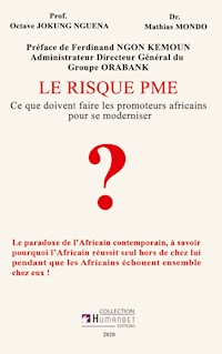 LE RISQUE PME - Octave Prof. JOKUNG NGUENA - E-Book