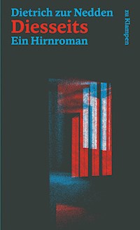 Diesseits - Dietrich zur Nedden - E-Book