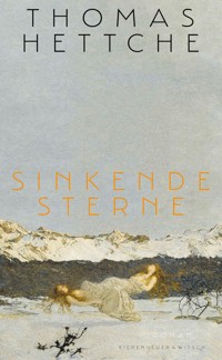 Sinkende Sterne - Thomas Hettche - E-Book