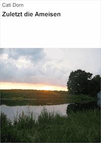 Zuletzt die Ameisen - Cati Dorn - E-Book