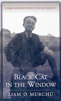 Black Cat in the Window - Liam Ó Murchú - E-Book
