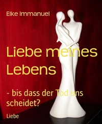 Liebe meines Lebens - Elke Immanuel - E-Book