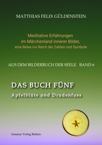 DAS BUCH FÜNF; Vom Geben und Nehmen; Haupt und Gieder als fünfstrahliger Stern; Selbstlose Liebe; Freien und Befreien; Grimm-Märchen Sterntaler; - Matthias Felix Güldenstein - E-Book