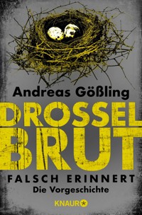 Drosselbrut - Falsch erinnert - Andreas Gößling - kostenlos E-Book
