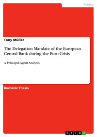 The Delegation Mandate of the European Central Bank during the Euro-Crisis - Tony Müller - E-Book