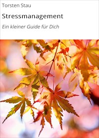Stressmanagement - Torsten Stau - E-Book