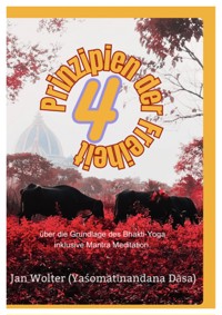 4 Prinzipien der Freiheit - Jan Wolter - E-Book
