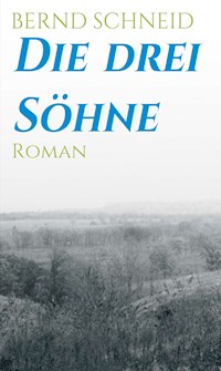 Die drei Söhne - Bernd Schneid - E-Book