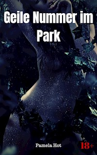 Geile Nummer im Park - Pamela Hot - E-Book