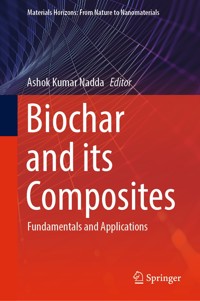 Biochar and its Composites - - E-Book