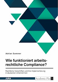Wie funktioniert arbeitsrechtliche Compliance? Rechtliche Vorschriften und ihre Implementierung in deutschen Unternehmen - Adrian Sommer - E-Book