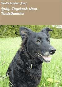 Lady, Tagebuch eines Findelhundes - Heidi Christina Jaax - E-Book