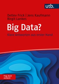 Big Data? Frag doch einfach! - Detlev Frick - E-Book