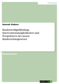 Kindeswohlgefährdung - Interventionsmöglichkeiten und Perspektiven des neuen Kinderschutzgesetzes - Hannah Siebern - E-Book