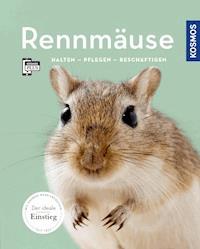 Rennmäuse - Anja Steinkamp - E-Book