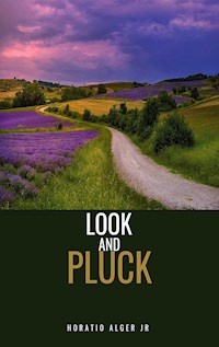 Luck and Pluck or John Oakley's Inheritance - Horatio Alger Jr. - E-Book