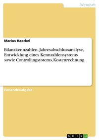 Bilanzkennzahlen. Jahresabschlussanalyse, Entwicklung eines Kennzahlensystems sowie Controllingsystems, Kostenrechnung - Marius Haeckel - E-Book