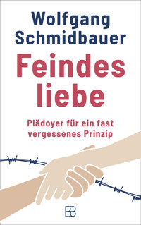 Feindesliebe - Wolfgang Schmidbauer - E-Book