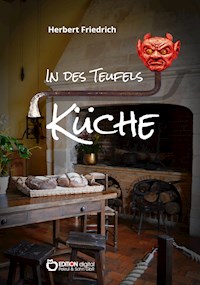 In des Teufels Küche und andere Erzählungen - Herbert Friedrich - E-Book