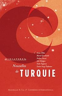 Nouvelles de Turquie - Ersan Üldes - E-Book