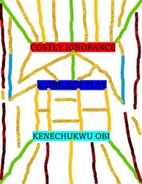 Costly Ignorance - Kenechukwu Obi - E-Book