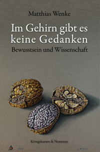 Im Gehirn gibt es keine Gedanken - Matthias Wenke - E-Book