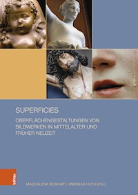 superficies -  - E-Book