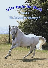 Vier Hufe für Dich - Ein Zuhause für Mercury (Pferd & Freundschaft) - Gabi Lohmann - E-Book