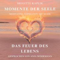 Das Feuer des Lebens - Momente der Seele - Meditative Inspiration mit Musik, Band 3 (ungekürzt) - Brigitte Kaplik - Hörbuch