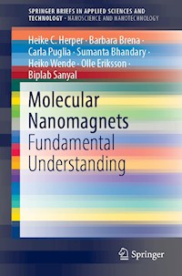 Molecular Nanomagnets - Heike C. Herper - E-Book
