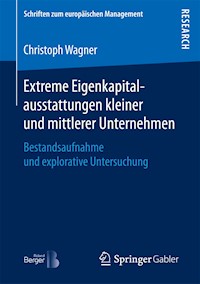 Extreme Eigenkapitalausstattungen kleiner und mittlerer Unternehmen - Christoph Wagner - E-Book