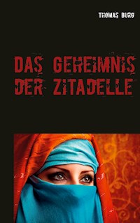 Das Geheimnis der Zitadelle - Thomas Burg - E-Book