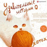 Удивительные истории о котах - Катя Матюшкина - Hörbuch