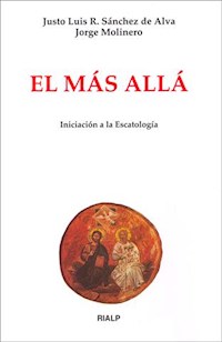 El más allá - Justo Luis Rodríguez Sánchez de Alva - E-Book