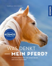 Was denkt mein Pferd? - Carola von Kessel - E-Book