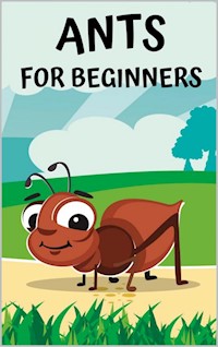 Ants for beginners - Thorsten Hawk - E-Book